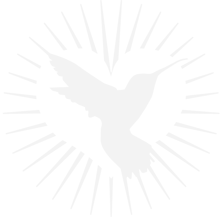Herzraum Retreats – Kolibri