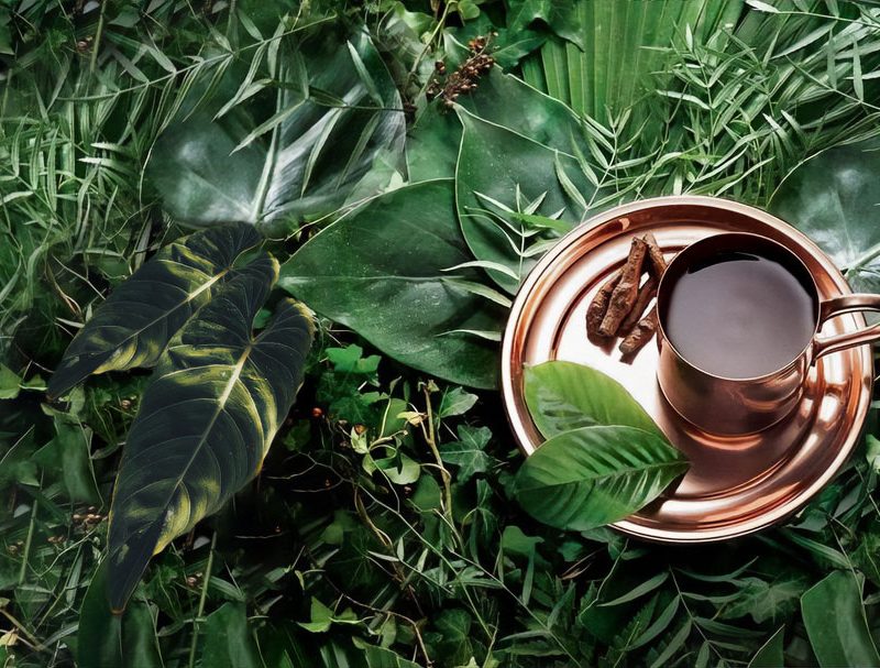 Ayahuasca-Kambo-Retreats-Deutschland
