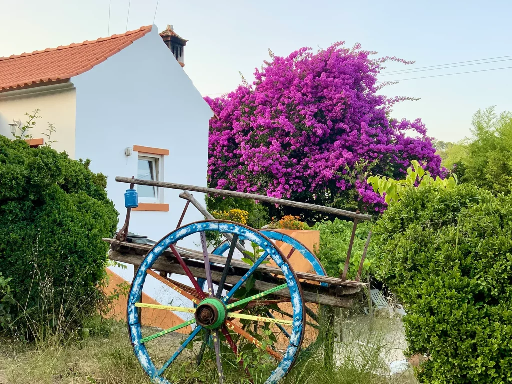 Retreat Center Portugal (26)