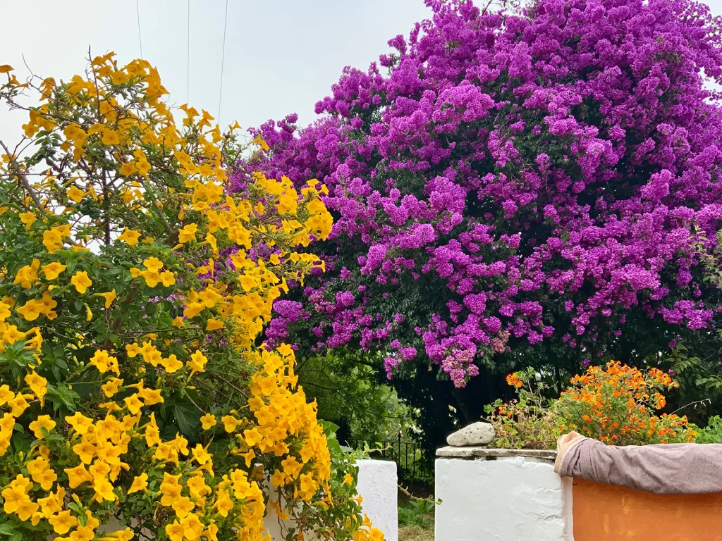 Retreat Center Portugal (5)
