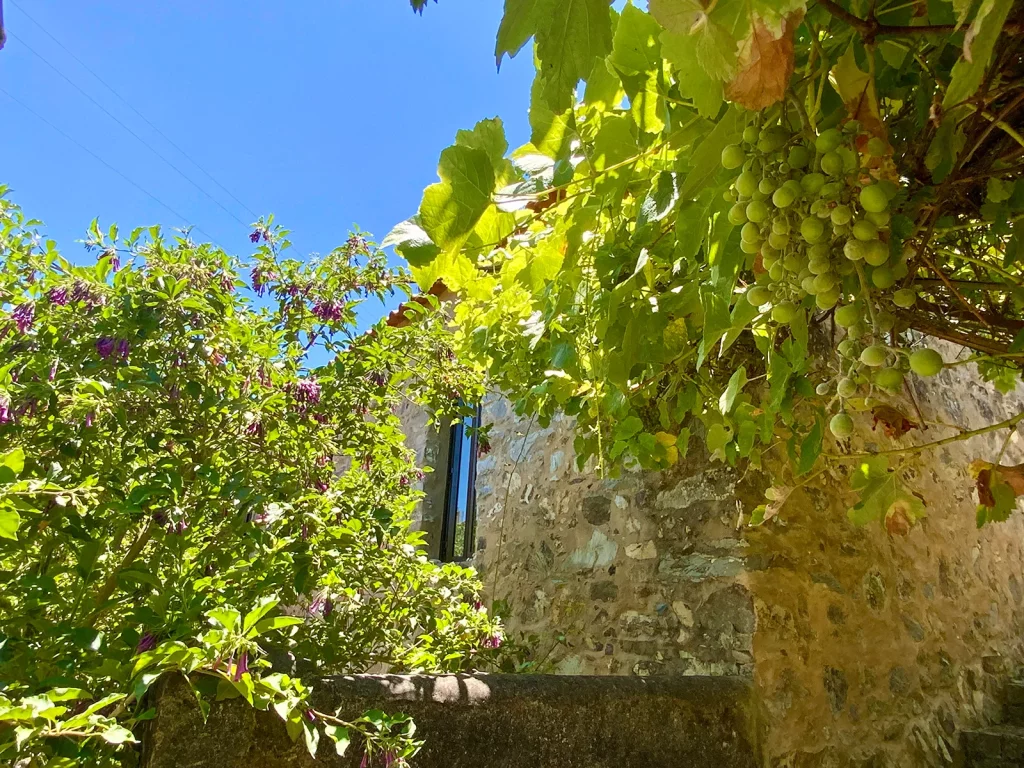 Retreat Center Portugal (7)