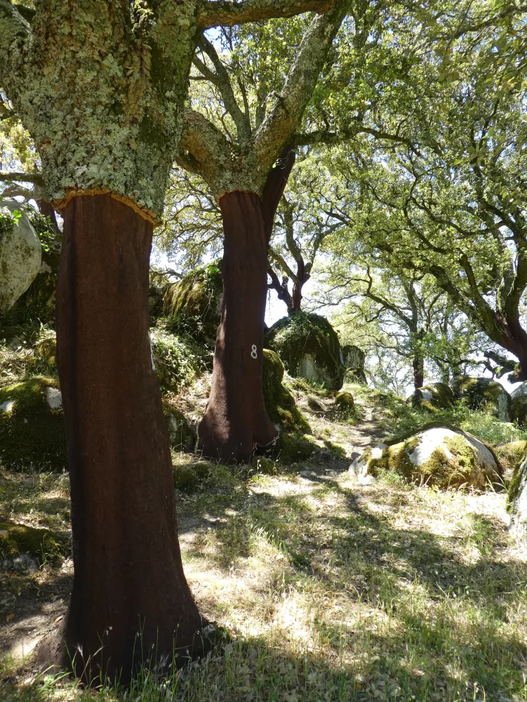 Retreat Portufal Ferien (3)