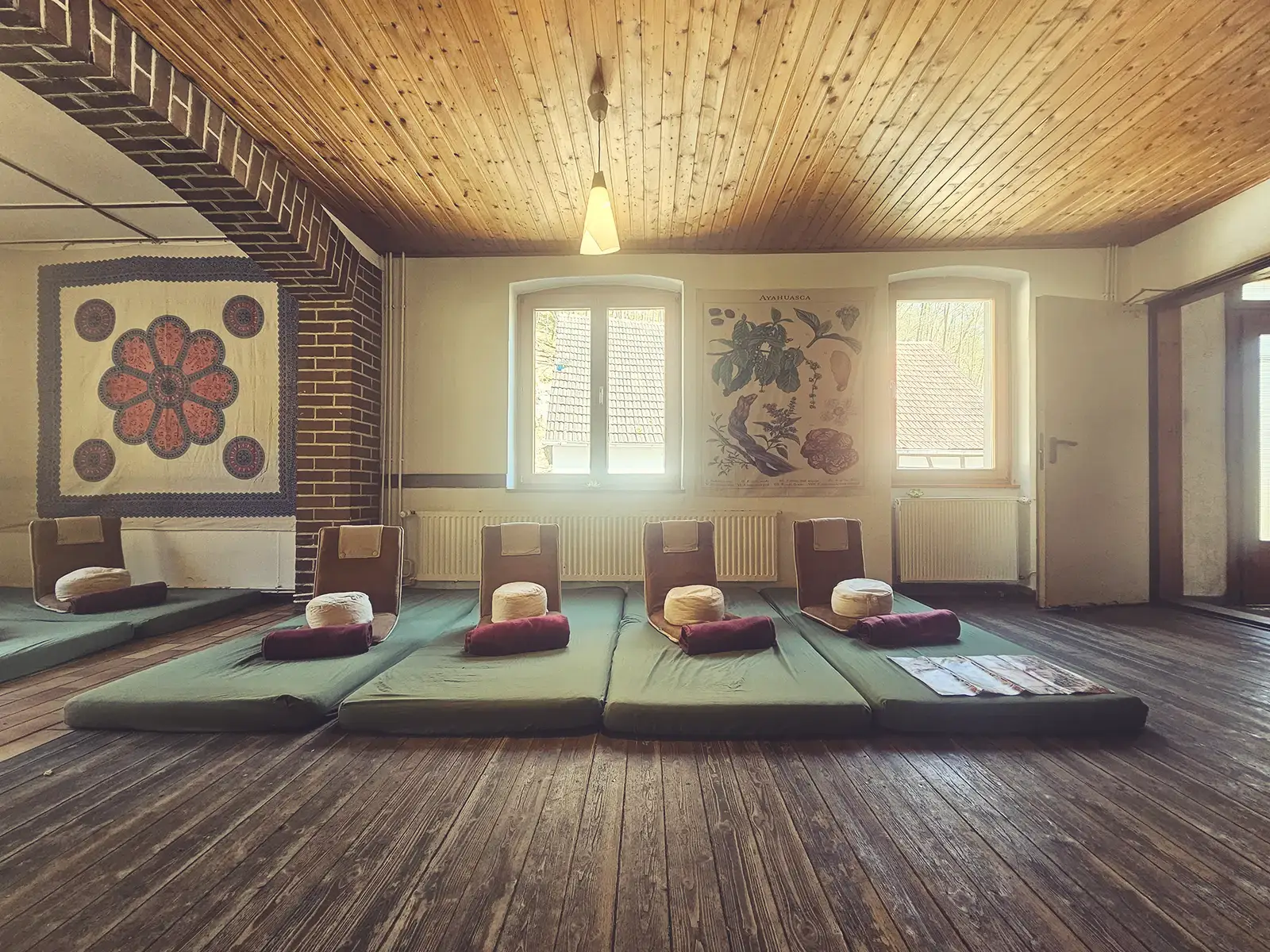 Moosbewachsener Waldboden – Natur rund um das Retreatzentrum